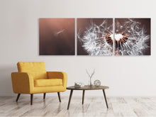 Laden Sie das Bild in den Galerie-Viewer, Panorama Leinwandbild 3-teilig Pusteblume im Abendlicht