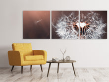 Laden Sie das Bild in den Galerie-Viewer, Panorama Leinwandbild 3-teilig Pusteblume im Abendlicht