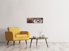 Laden Sie das Bild in den Galerie-Viewer, Panorama Leinwandbild 3-teilig Pusteblume im Abendlicht