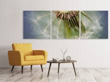 Laden Sie das Bild in den Galerie-Viewer, Panorama Leinwandbild 3-teilig Löwenzahn Close up