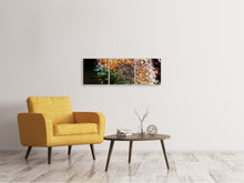 Laden Sie das Bild in den Galerie-Viewer, Panorama Leinwandbild 3-teilig Pusteblume im Morgentau