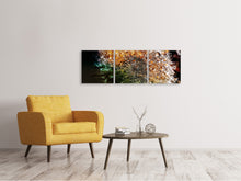 Laden Sie das Bild in den Galerie-Viewer, Panorama Leinwandbild 3-teilig Pusteblume im Morgentau