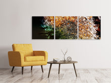 Laden Sie das Bild in den Galerie-Viewer, Panorama Leinwandbild 3-teilig Pusteblume im Morgentau