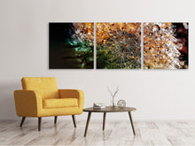 Laden Sie das Bild in den Galerie-Viewer, Panorama Leinwandbild 3-teilig Pusteblume im Morgentau