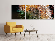Laden Sie das Bild in den Galerie-Viewer, Panorama Leinwandbild 3-teilig Pusteblume im Morgentau