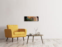 Laden Sie das Bild in den Galerie-Viewer, Panorama Leinwandbild 3-teilig Pusteblume im Morgentau
