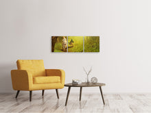 Laden Sie das Bild in den Galerie-Viewer, Panorama Leinwandbild 3-teilig Wald Ausflug