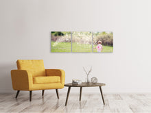 Laden Sie das Bild in den Galerie-Viewer, Panorama Leinwandbild 3-teilig Kleine Fee