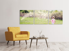 Laden Sie das Bild in den Galerie-Viewer, Panorama Leinwandbild 3-teilig Kleine Fee