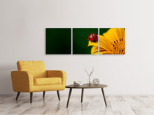 Laden Sie das Bild in den Galerie-Viewer, Panorama Leinwandbild 3-teilig Marienkäfer auf der Sonnenblume