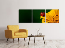 Laden Sie das Bild in den Galerie-Viewer, Panorama Leinwandbild 3-teilig Marienkäfer auf der Sonnenblume