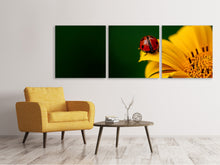 Laden Sie das Bild in den Galerie-Viewer, Panorama Leinwandbild 3-teilig Marienkäfer auf der Sonnenblume