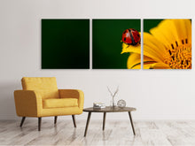 Laden Sie das Bild in den Galerie-Viewer, Panorama Leinwandbild 3-teilig Marienkäfer auf der Sonnenblume