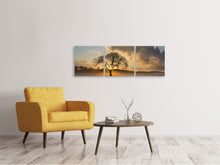 Laden Sie das Bild in den Galerie-Viewer, Panorama Leinwandbild 3-teilig Ein einsamer Baum
