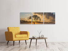 Laden Sie das Bild in den Galerie-Viewer, Panorama Leinwandbild 3-teilig Ein einsamer Baum