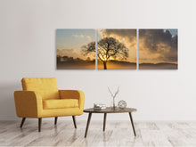 Laden Sie das Bild in den Galerie-Viewer, Panorama Leinwandbild 3-teilig Ein einsamer Baum
