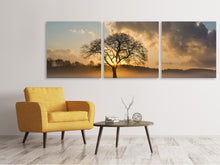 Laden Sie das Bild in den Galerie-Viewer, Panorama Leinwandbild 3-teilig Ein einsamer Baum