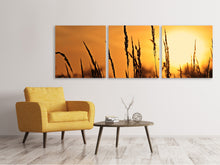 Laden Sie das Bild in den Galerie-Viewer, Panorama Leinwandbild 3-teilig Sonnenaufgang auf dem Feld