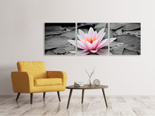 Laden Sie das Bild in den Galerie-Viewer, Panorama Leinwandbild 3-teilig Die Kunst der Seerose