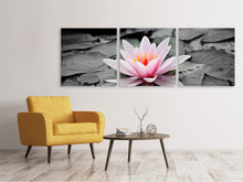 Laden Sie das Bild in den Galerie-Viewer, Panorama Leinwandbild 3-teilig Die Kunst der Seerose
