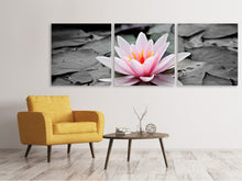 Laden Sie das Bild in den Galerie-Viewer, Panorama Leinwandbild 3-teilig Die Kunst der Seerose