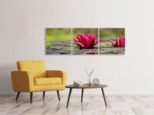 Laden Sie das Bild in den Galerie-Viewer, Panorama Leinwandbild 3-teilig Rotes Seerosen Duo