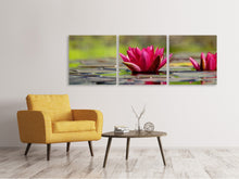 Laden Sie das Bild in den Galerie-Viewer, Panorama Leinwandbild 3-teilig Rotes Seerosen Duo
