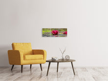 Laden Sie das Bild in den Galerie-Viewer, Panorama Leinwandbild 3-teilig Rotes Seerosen Duo