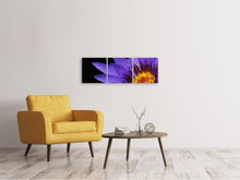 Laden Sie das Bild in den Galerie-Viewer, Panorama Leinwandbild 3-teilig XL Seerose in lila