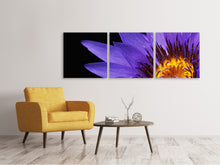 Laden Sie das Bild in den Galerie-Viewer, Panorama Leinwandbild 3-teilig XL Seerose in lila