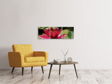 Laden Sie das Bild in den Galerie-Viewer, Panorama Leinwandbild 3-teilig Seerose in rot