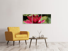 Laden Sie das Bild in den Galerie-Viewer, Panorama Leinwandbild 3-teilig Seerose in rot
