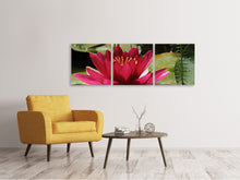 Laden Sie das Bild in den Galerie-Viewer, Panorama Leinwandbild 3-teilig Seerose in rot