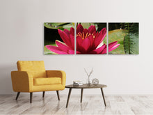 Laden Sie das Bild in den Galerie-Viewer, Panorama Leinwandbild 3-teilig Seerose in rot