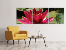 Laden Sie das Bild in den Galerie-Viewer, Panorama Leinwandbild 3-teilig Seerose in rot