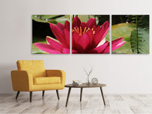 Laden Sie das Bild in den Galerie-Viewer, Panorama Leinwandbild 3-teilig Seerose in rot
