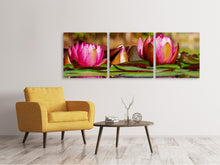 Laden Sie das Bild in den Galerie-Viewer, Panorama Leinwandbild 3-teilig Rotes Seerosen Trio