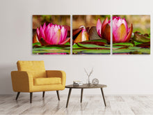 Laden Sie das Bild in den Galerie-Viewer, Panorama Leinwandbild 3-teilig Rotes Seerosen Trio