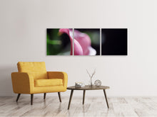 Laden Sie das Bild in den Galerie-Viewer, Panorama Leinwandbild 3-teilig Calla in lila