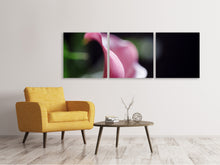 Laden Sie das Bild in den Galerie-Viewer, Panorama Leinwandbild 3-teilig Calla in lila