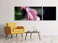 Laden Sie das Bild in den Galerie-Viewer, Panorama Leinwandbild 3-teilig Calla in lila