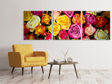 Laden Sie das Bild in den Galerie-Viewer, Panorama Leinwandbild 3-teilig Viele bunte Rosenblüten