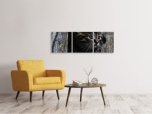 Laden Sie das Bild in den Galerie-Viewer, Panorama Leinwandbild 3-teilig Katzen Kind