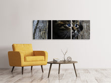 Laden Sie das Bild in den Galerie-Viewer, Panorama Leinwandbild 3-teilig Katzen Kind