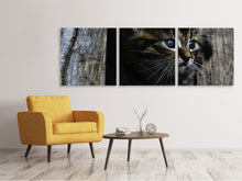 Laden Sie das Bild in den Galerie-Viewer, Panorama Leinwandbild 3-teilig Katzen Kind