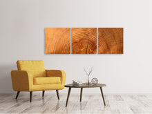 Laden Sie das Bild in den Galerie-Viewer, Panorama Leinwandbild 3-teilig Baumringe