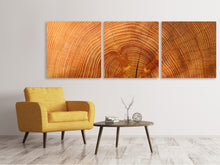 Laden Sie das Bild in den Galerie-Viewer, Panorama Leinwandbild 3-teilig Baumringe