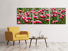 Laden Sie das Bild in den Galerie-Viewer, Panorama Leinwandbild 3-teilig Wildes Tulpenfeld