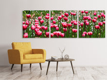 Laden Sie das Bild in den Galerie-Viewer, Panorama Leinwandbild 3-teilig Wildes Tulpenfeld