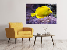 Laden Sie das Bild in den Galerie-Viewer, Leinwandbild Der Zitronen-Doktorfisch